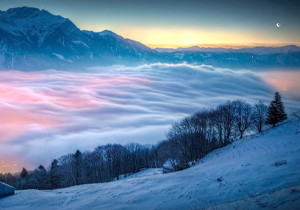 黑群晖密码忘了怎么办？重置黑群晖理员密码教程