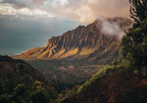 2024年最新VMware虚拟机安装黑群晖教程