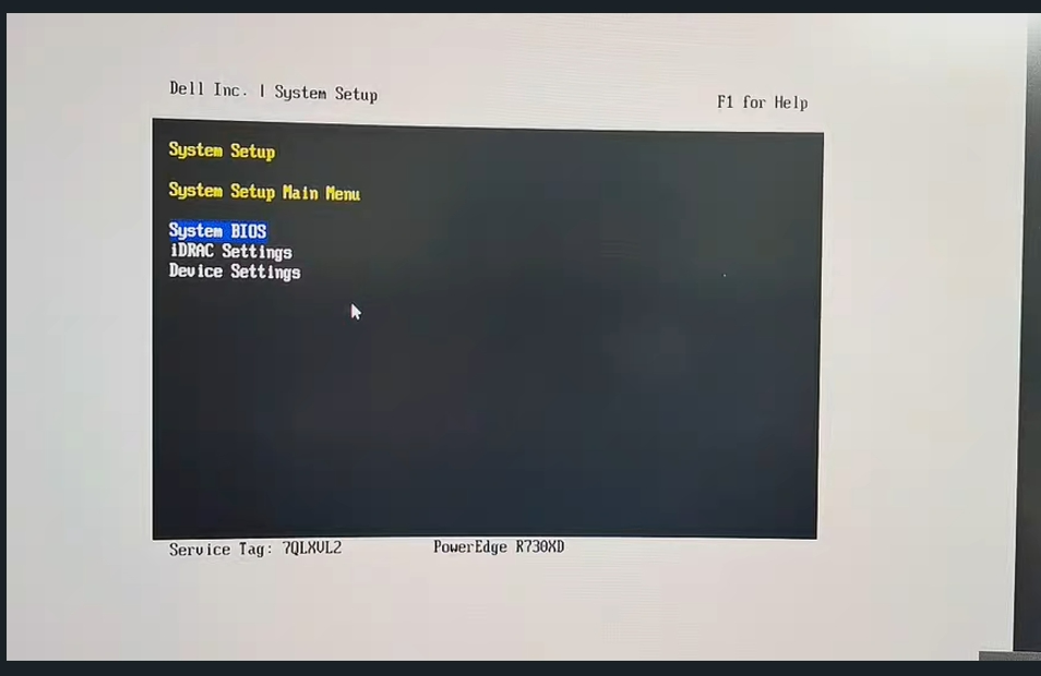 1选择System BIOS.png
